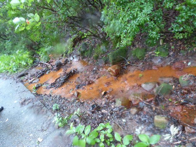 f0357487_0233784.jpg
