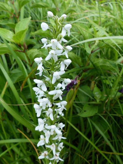 f0357487_041940.jpg