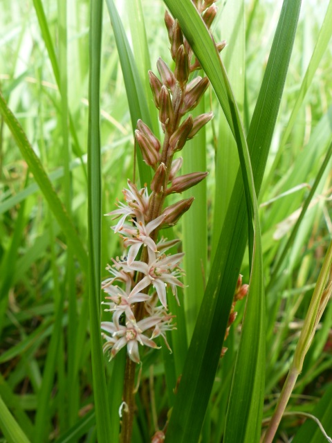 f0357487_05041.jpg
