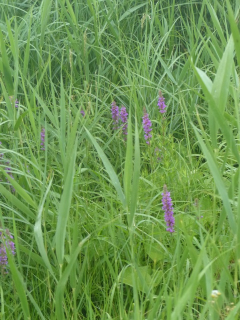 f0357487_06371.jpg