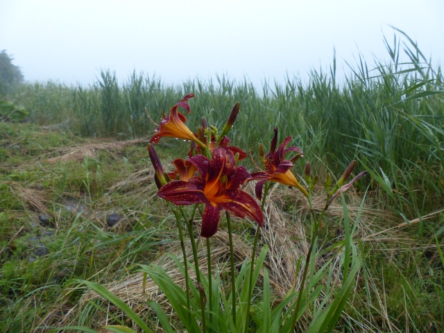 f0357487_073152.jpg