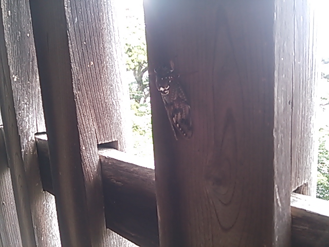 c0204188_16381240.jpg