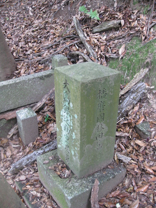 f0010195_1252064.jpg