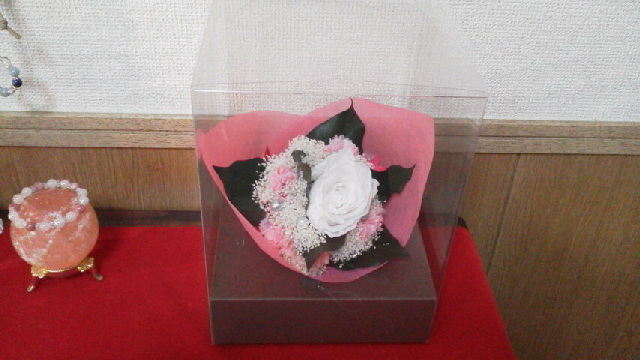 f0035996_1456812.jpg