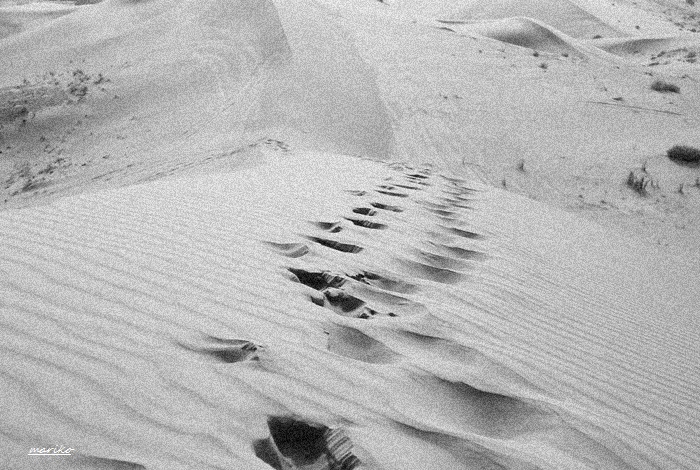 f0053297_3243714.jpg