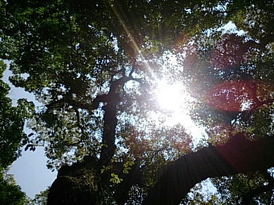 a0216805_10271025.jpg