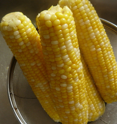 a0214206_20375470.jpg