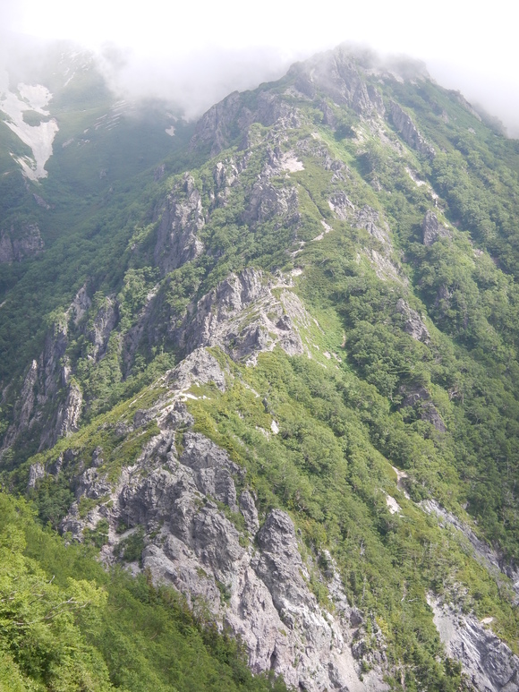 e0242423_6453055.jpg