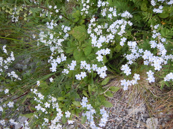 e0242423_65019.jpg