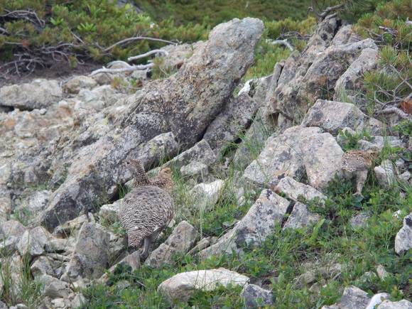 e0242423_6535030.jpg