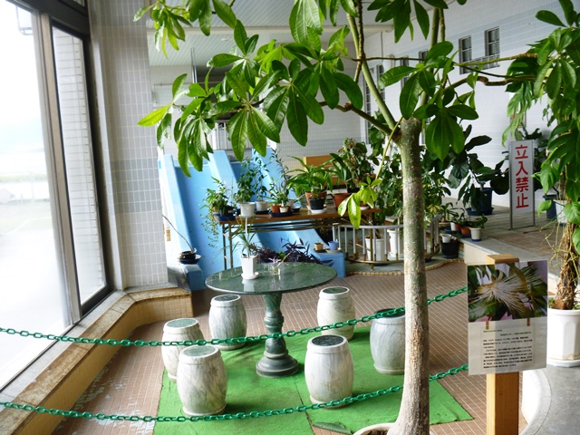 d0137326_10414792.jpg