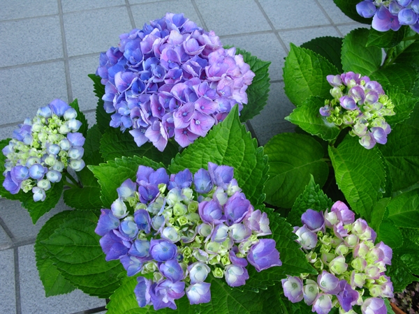 f0129726_22333539.jpg