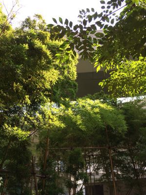c0201427_692728.jpg