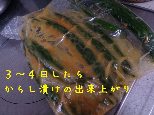 b0138430_13553330.jpg