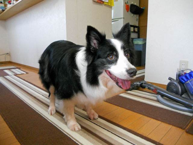 d0059230_8531820.jpg