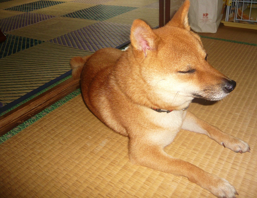 a0206332_93314100.jpg