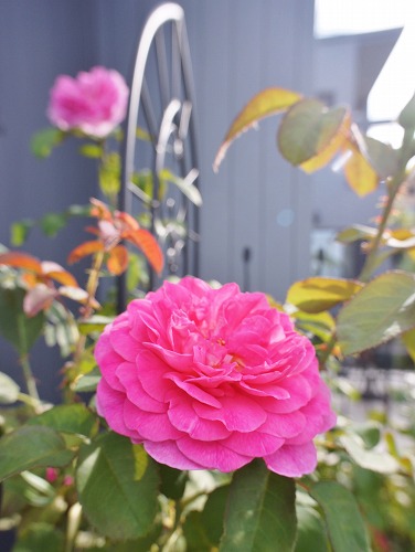 f0205733_16584598.jpg