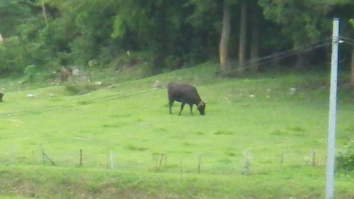 c0300035_85456100.jpg