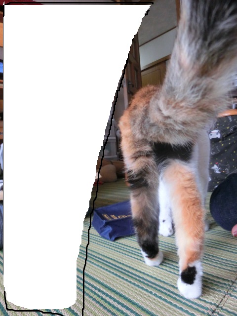 c0194042_21492937.jpg
