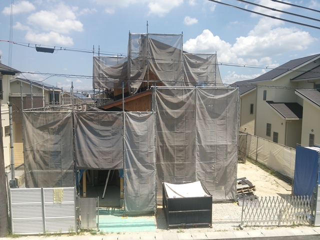 b0139849_1050570.jpg