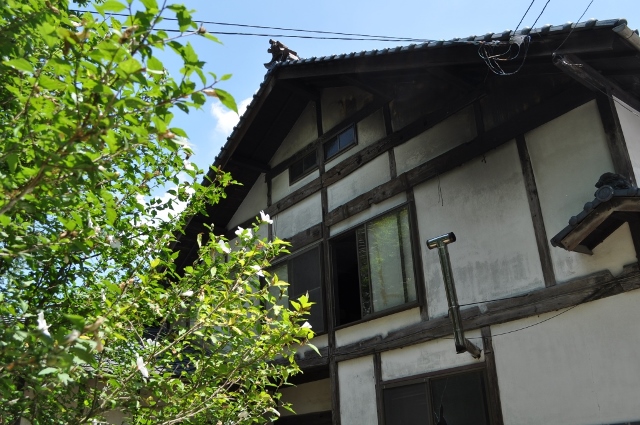 d0177849_15224447.jpg