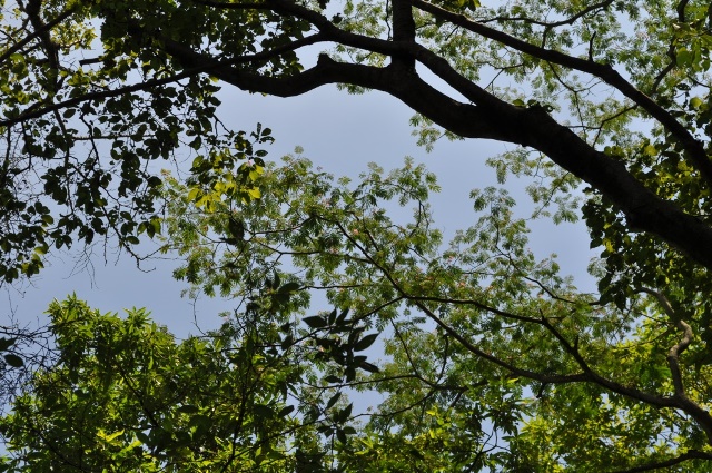 d0177849_15225439.jpg