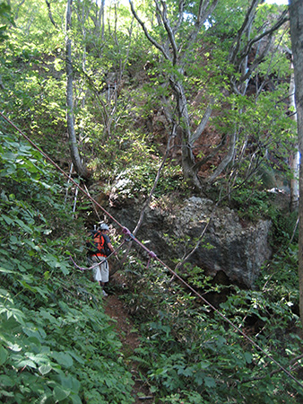 f0009457_17161453.jpg