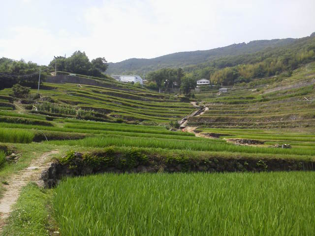c0214359_2202969.jpg