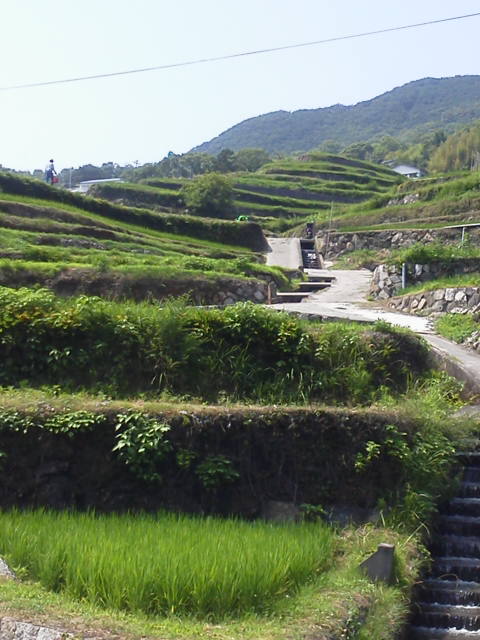 c0214359_2204442.jpg