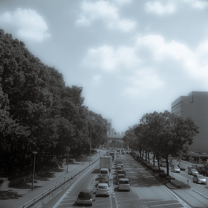 b0175964_21344060.jpg