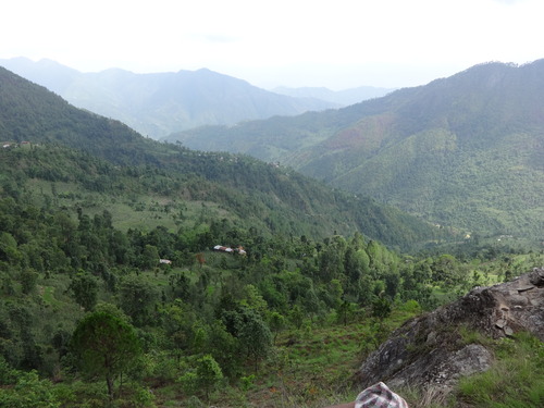 e0155370_2148599.jpg