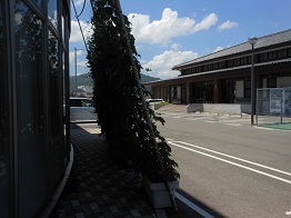 e0175370_9431217.jpg