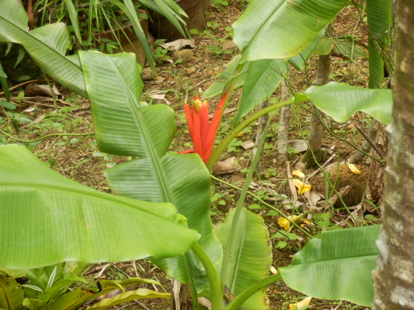 e0292172_2102755.jpg