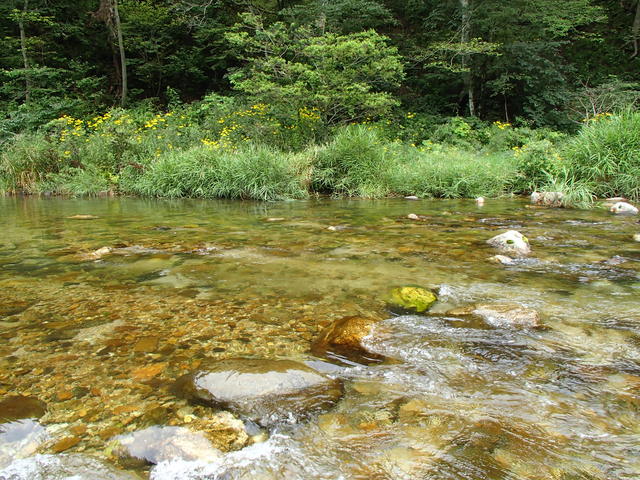 a0093677_20432434.jpg