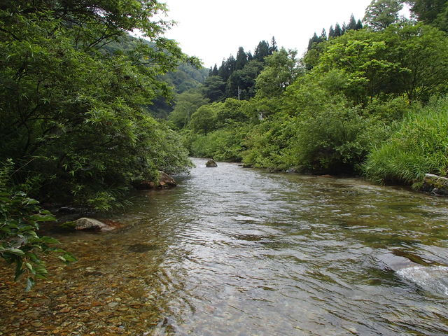 a0093677_20492783.jpg