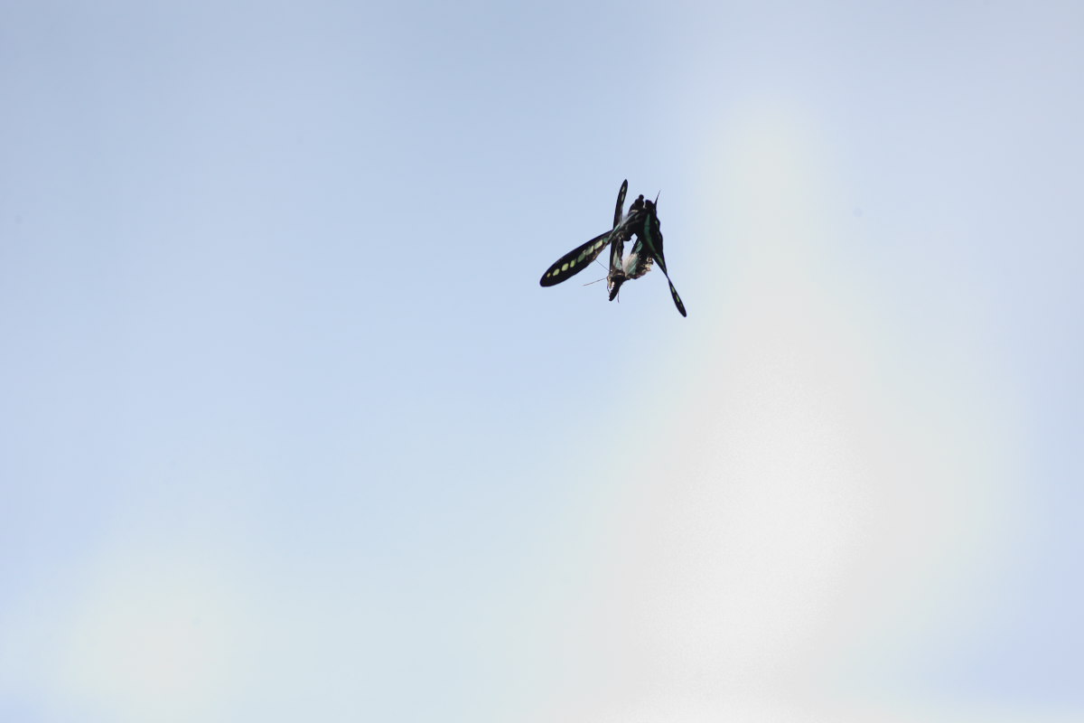 a0083081_15501381.jpg