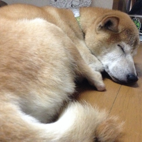c0123890_21401258.jpg