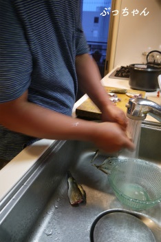 f0353990_20083497.jpg