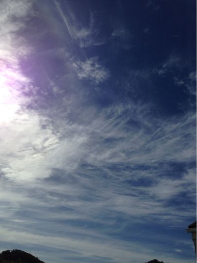 f0298891_8122823.jpg