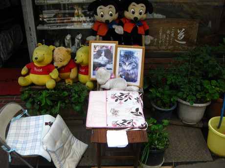 d0160692_12551321.jpg