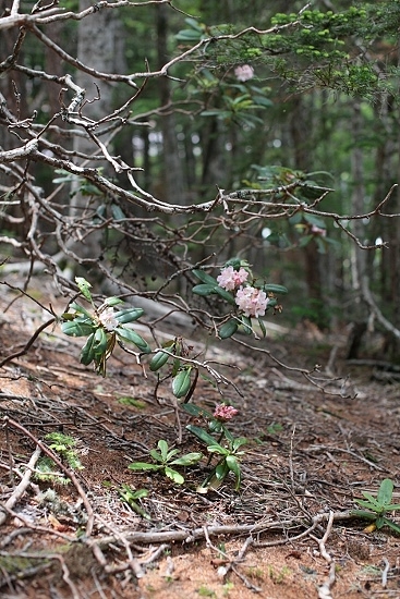 e0209997_10534266.jpg