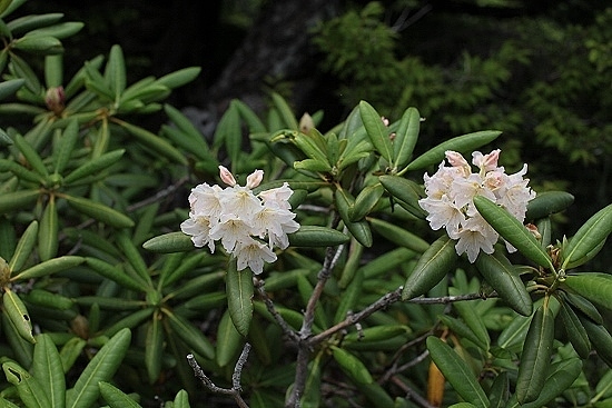e0209997_10572250.jpg