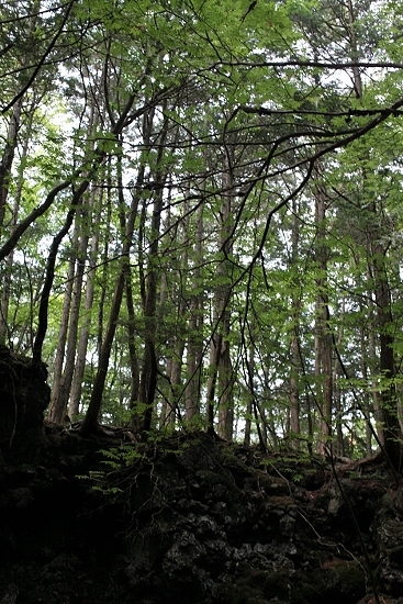 e0209997_20461620.jpg