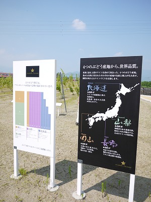 e0209900_2251467.jpg