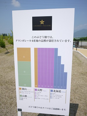 e0209900_22522881.jpg