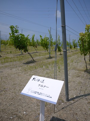 e0209900_2254452.jpg