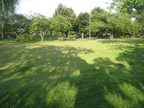 d0046702_5454570.jpg