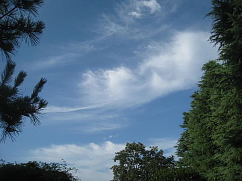 d0046702_552175.jpg