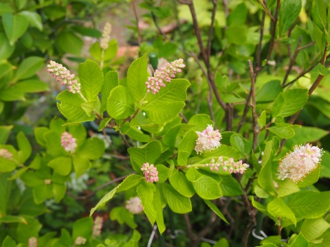 c0117007_13551715.jpg