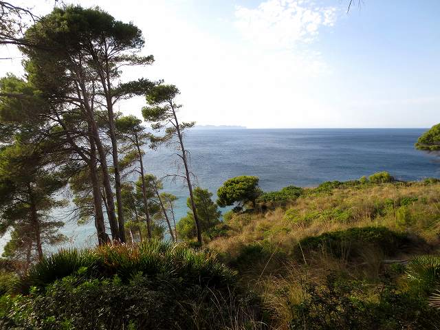 b0064411_04521411.jpg